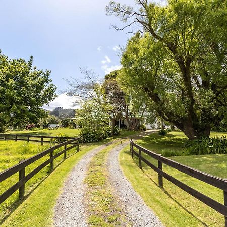 Jacaranda Lodge Coromandel Exterior photo