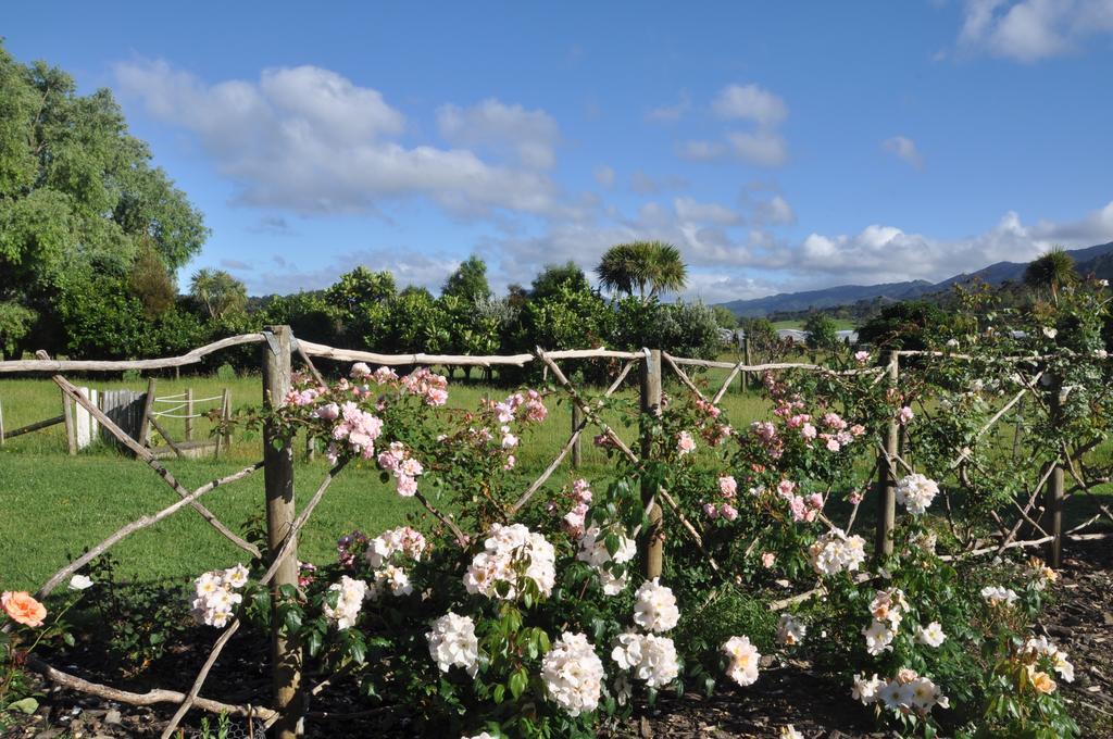 Jacaranda Lodge Coromandel Exterior photo