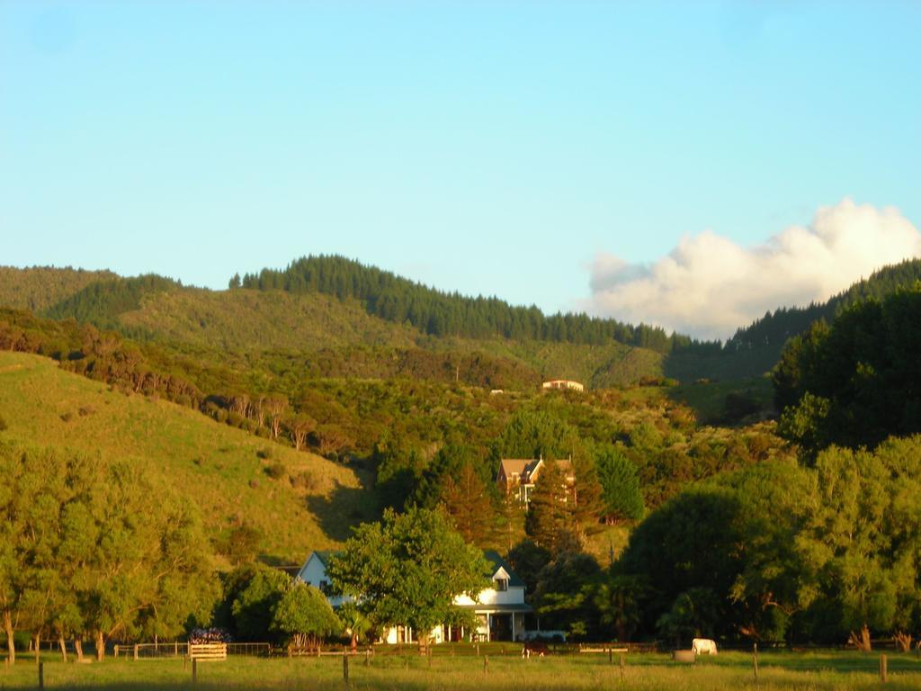 Jacaranda Lodge Coromandel Exterior photo