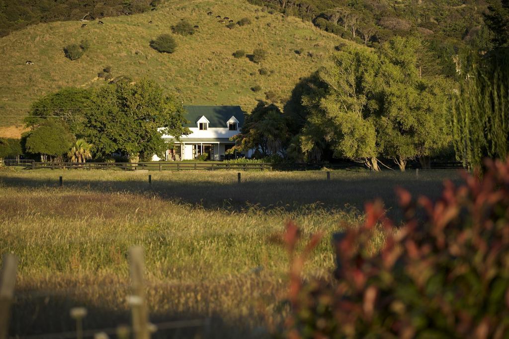 Jacaranda Lodge Coromandel Exterior photo