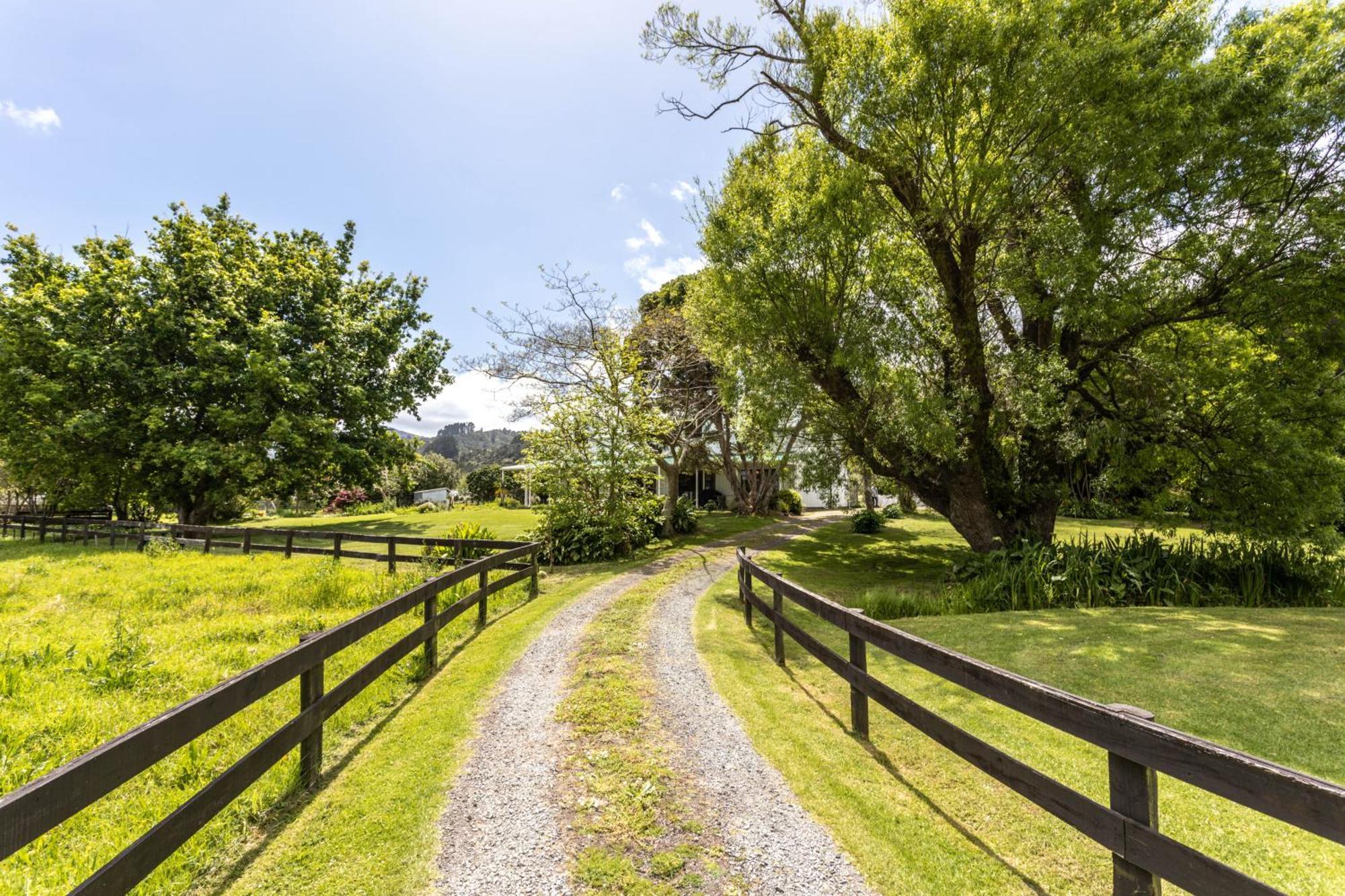 Jacaranda Lodge Coromandel Exterior photo