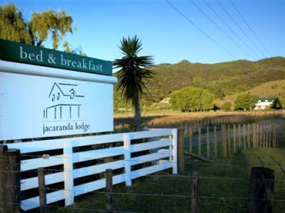 Jacaranda Lodge Coromandel Exterior photo