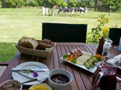 Jacaranda Lodge Coromandel Exterior photo